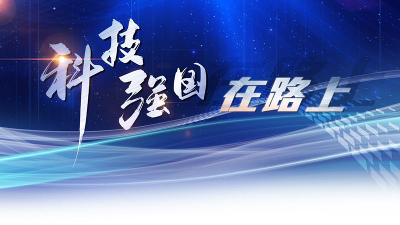 信息化建设公司品牌如何选择？揭秘十大推荐品牌背后的逻辑