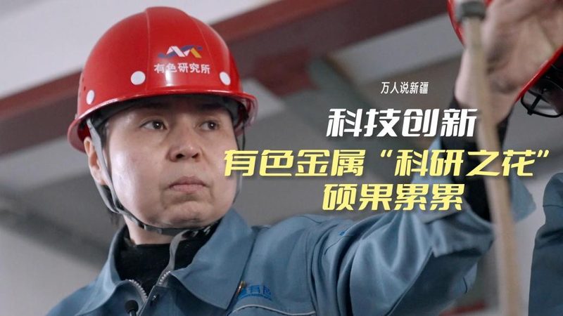 数据治理标杆案例，揭秘企业高效运营之道